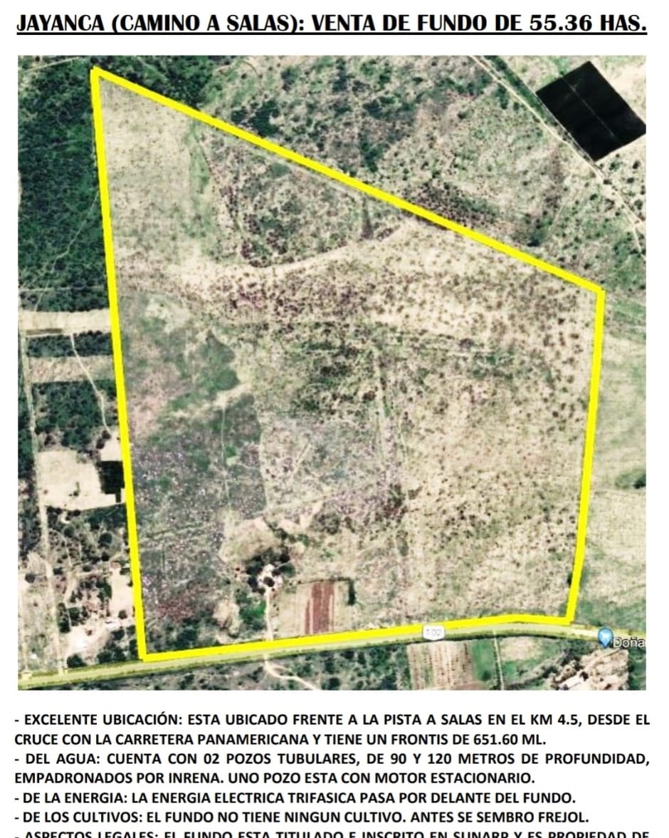 VENTA: FUNDO 55.36 HAS EN JAYANCA - FILO DE PISTA