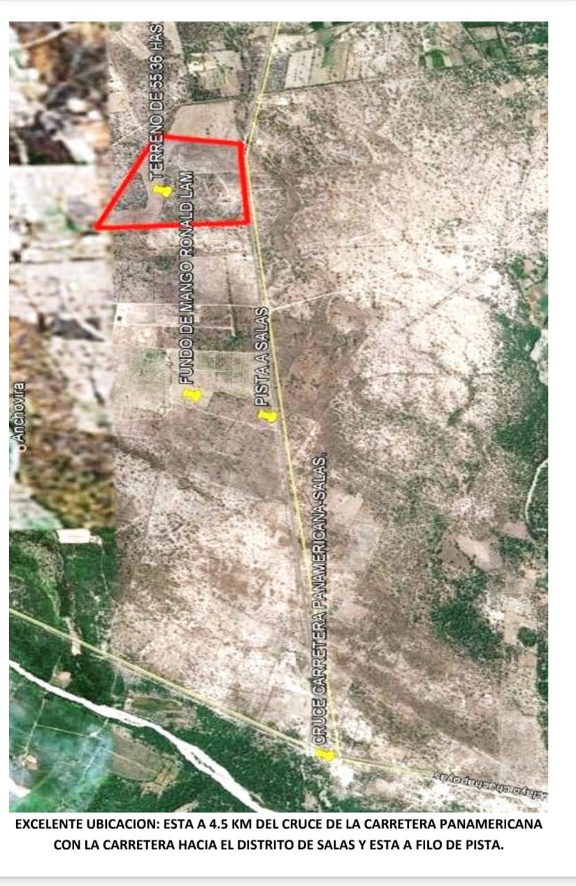 VENTA: FUNDO 55.36 HAS EN JAYANCA - FILO DE PISTA