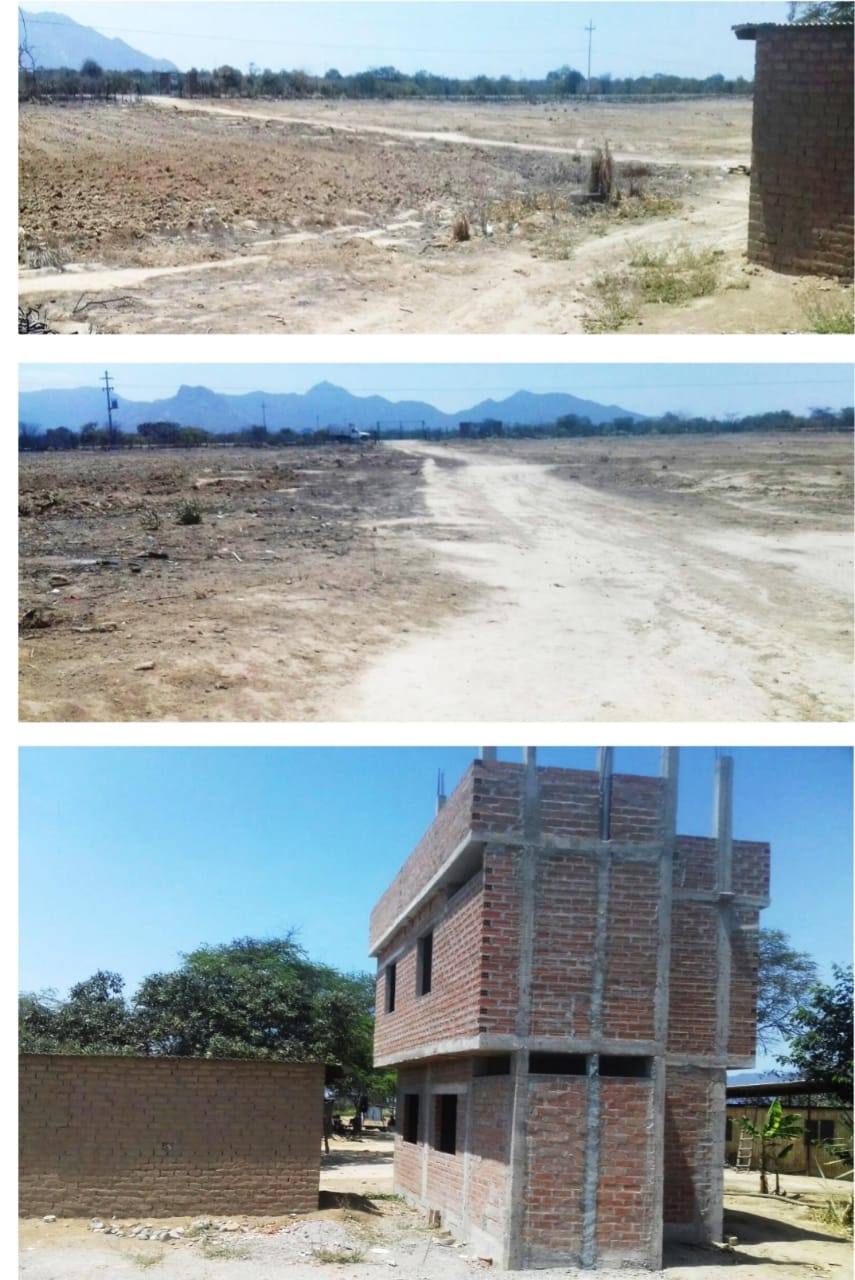 VENTA: FUNDO 55.36 HAS EN JAYANCA - FILO DE PISTA