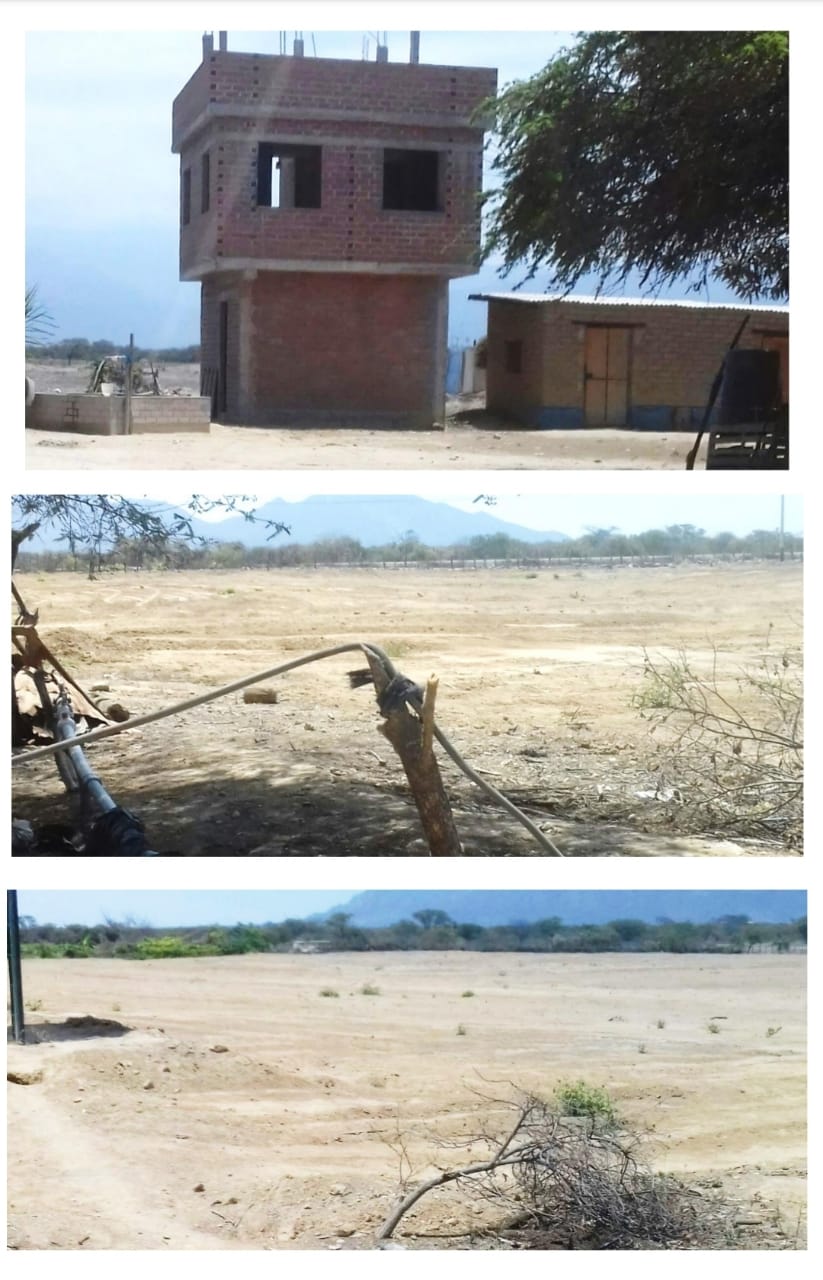 VENTA: FUNDO 55.36 HAS EN JAYANCA - FILO DE PISTA