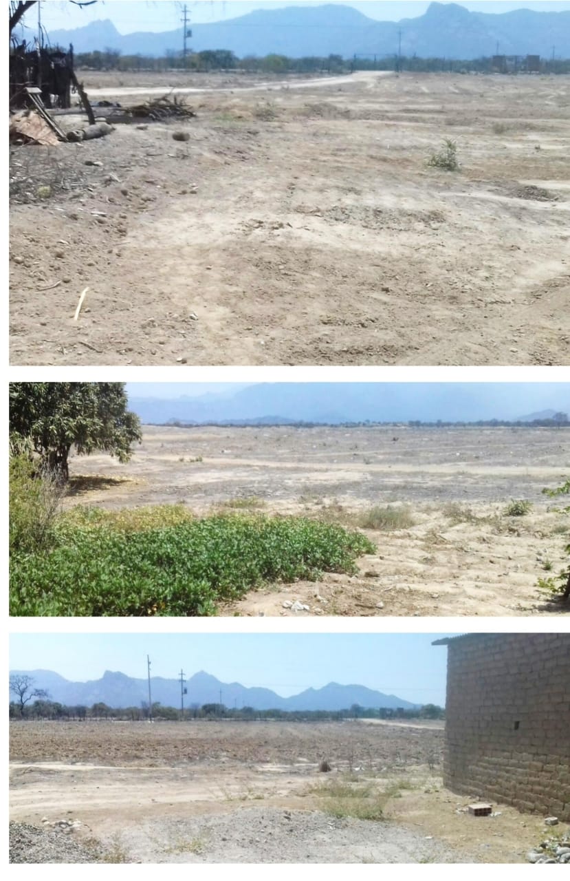 VENTA: FUNDO 55.36 HAS EN JAYANCA - FILO DE PISTA